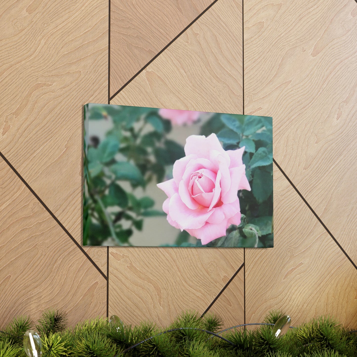 Focus on a Pink Rose | High Bloom Collection | Wall Art Print | Life By Ortavia