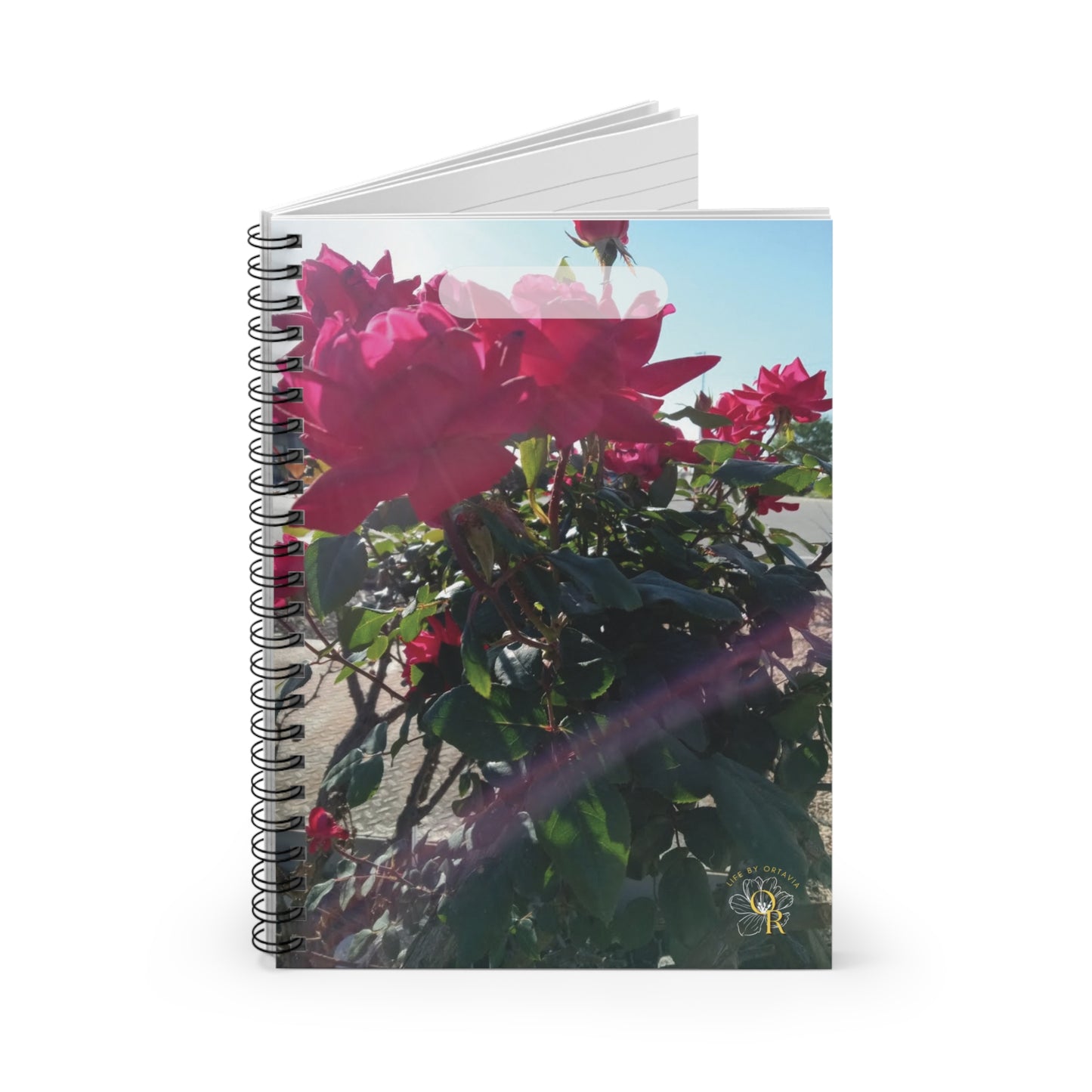 Roses in Sunlight | Spiral Notebook 118 pg Ruled