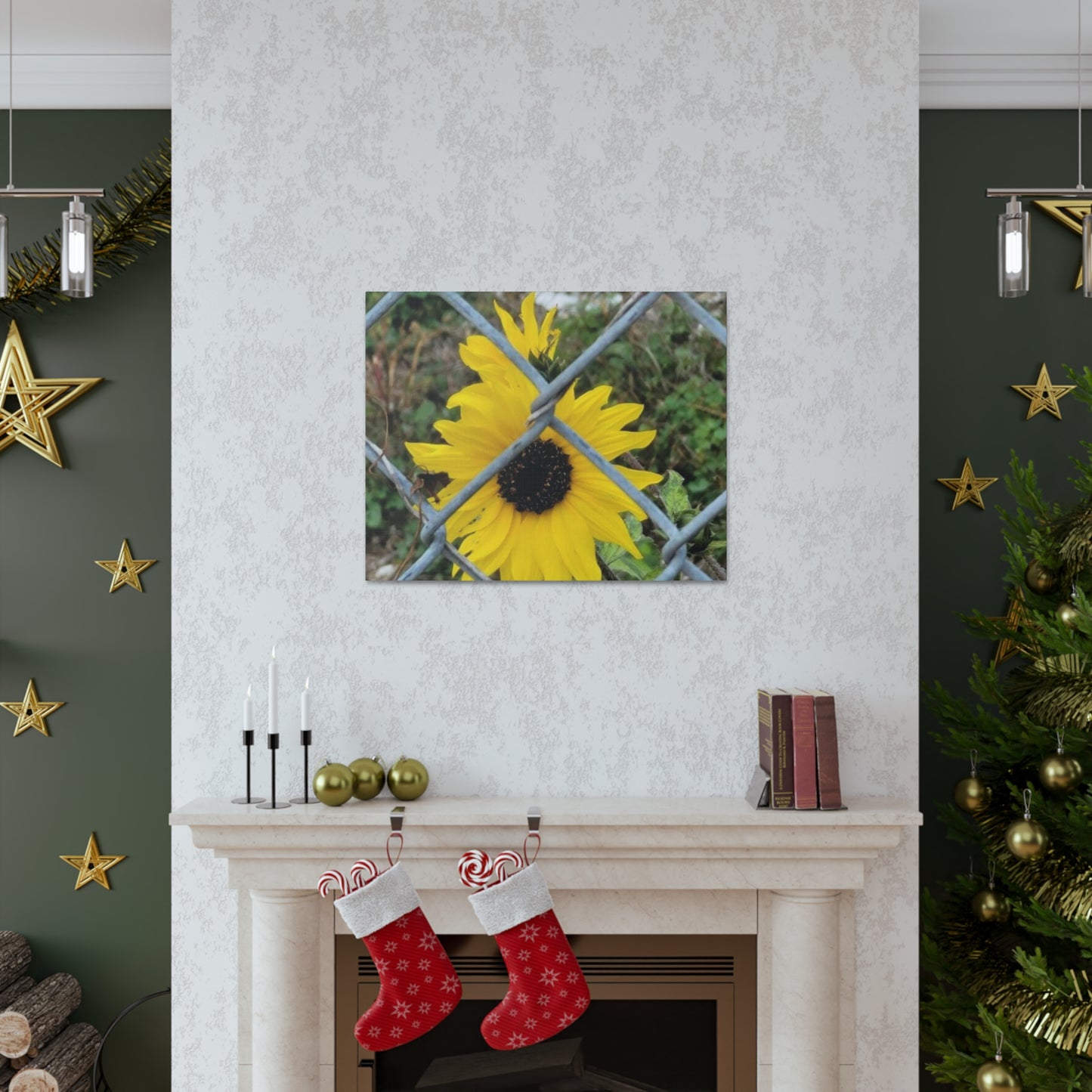 Sunflower Behind A Fence Canvas Gallery Wraps