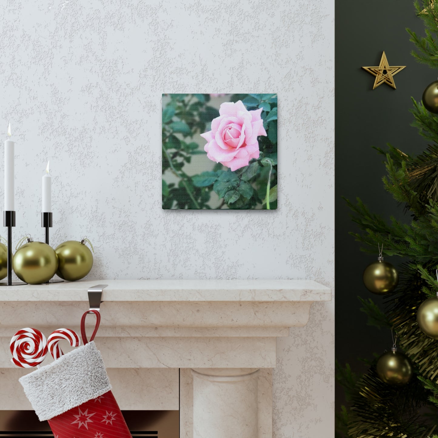 Focus on a Pink Rose | High Bloom Collection | Wall Art Print | Life By Ortavia
