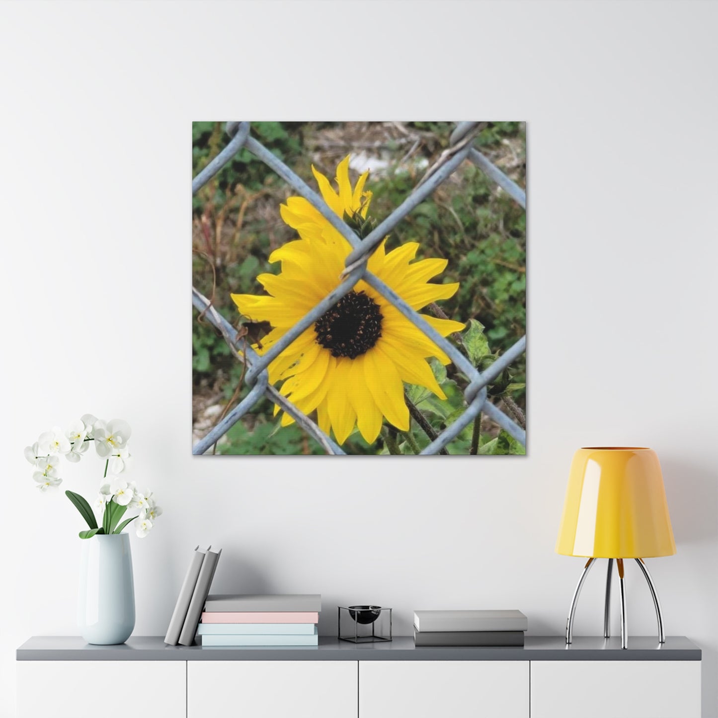 Sunflower Behind A Fence Canvas Gallery Wraps