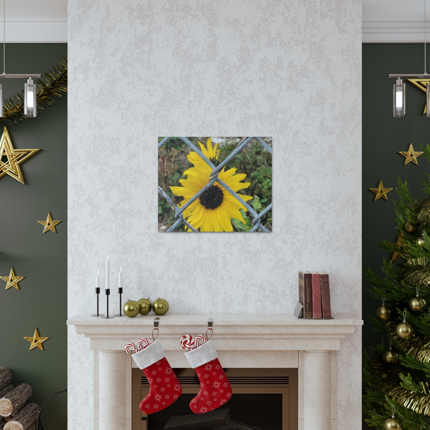 Sunflower Behind A Fence Canvas Gallery Wraps