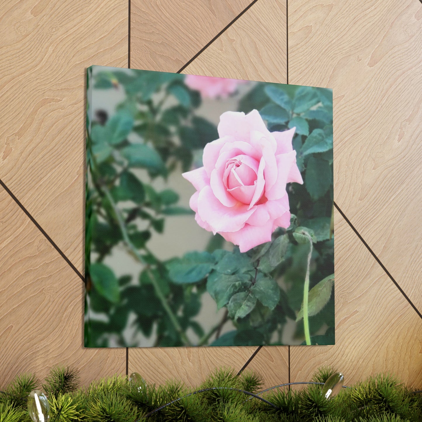 Focus on a Pink Rose | High Bloom Collection | Wall Art Print | Life By Ortavia