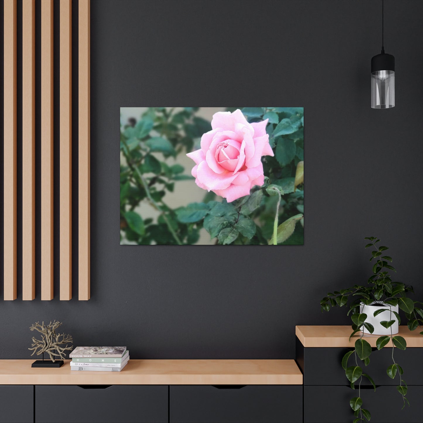Focus on a Pink Rose | High Bloom Collection | Wall Art Print | Life By Ortavia