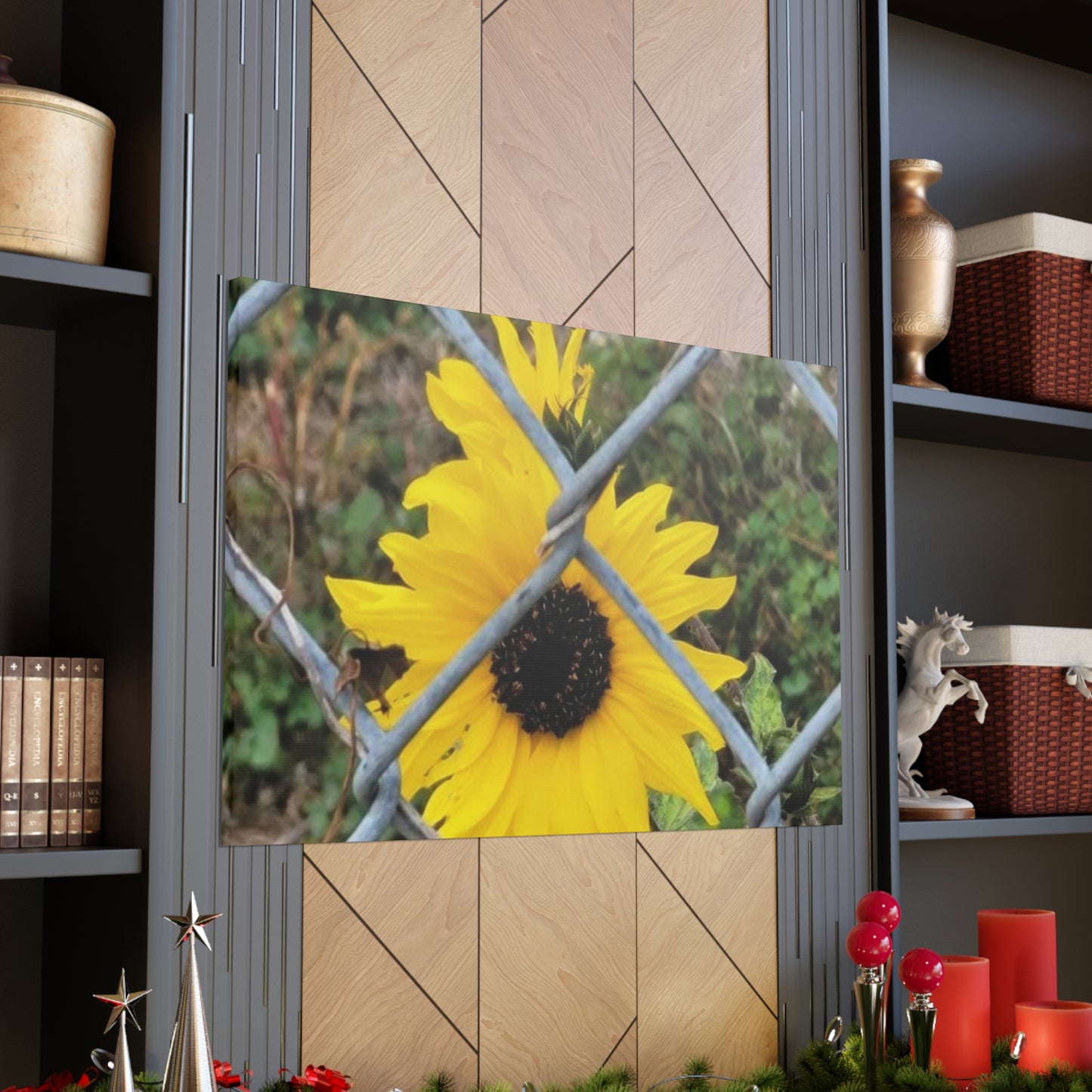 Sunflower Behind A Fence Canvas Gallery Wraps