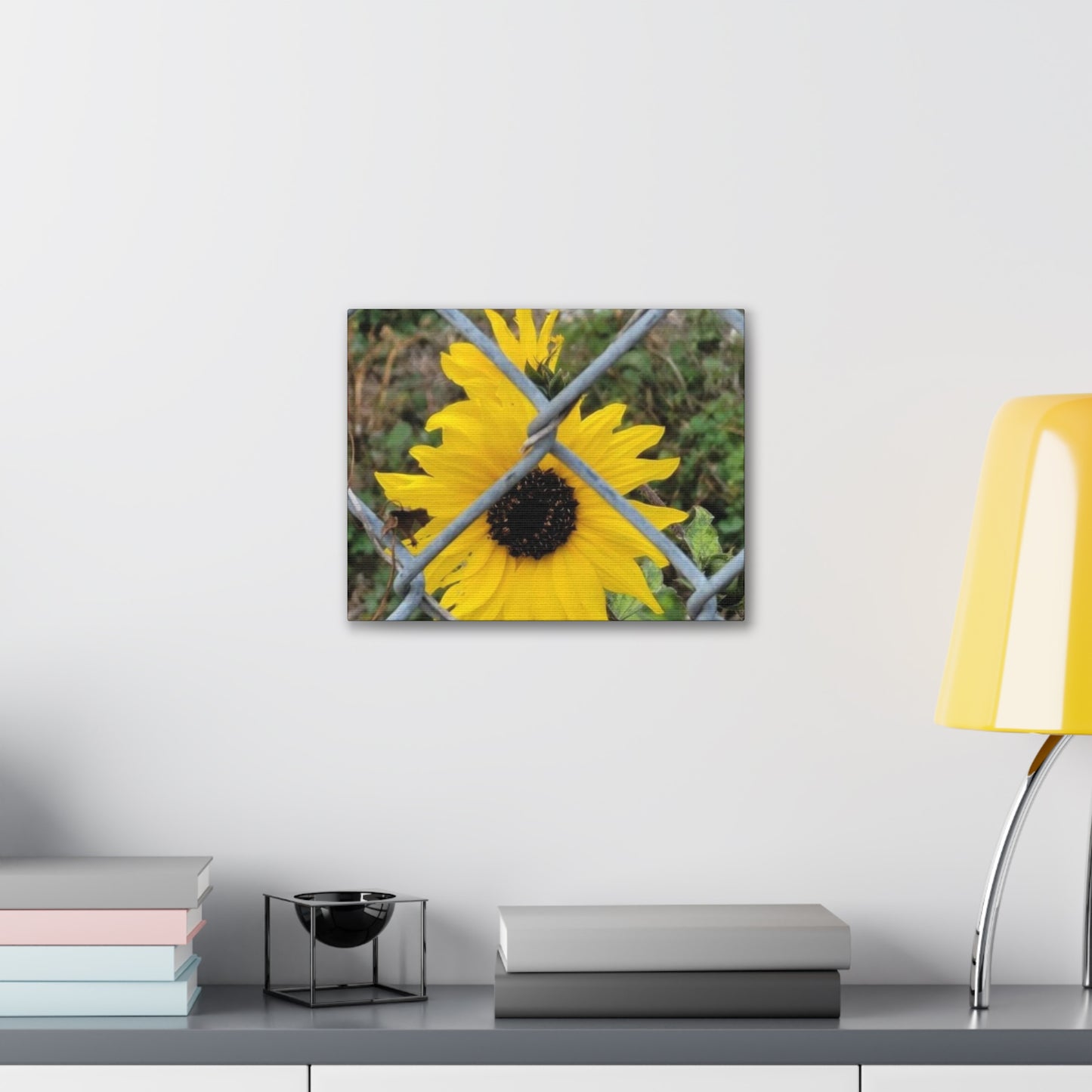 Sunflower Behind A Fence Canvas Gallery Wraps