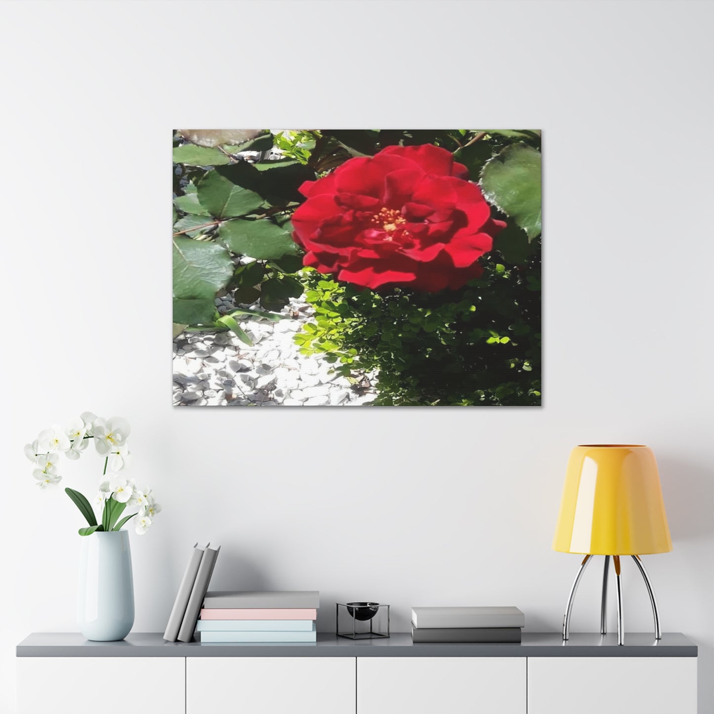 Europeana Red Rose | Wall Art Print | High Bloom Collection | Life By Ortavia