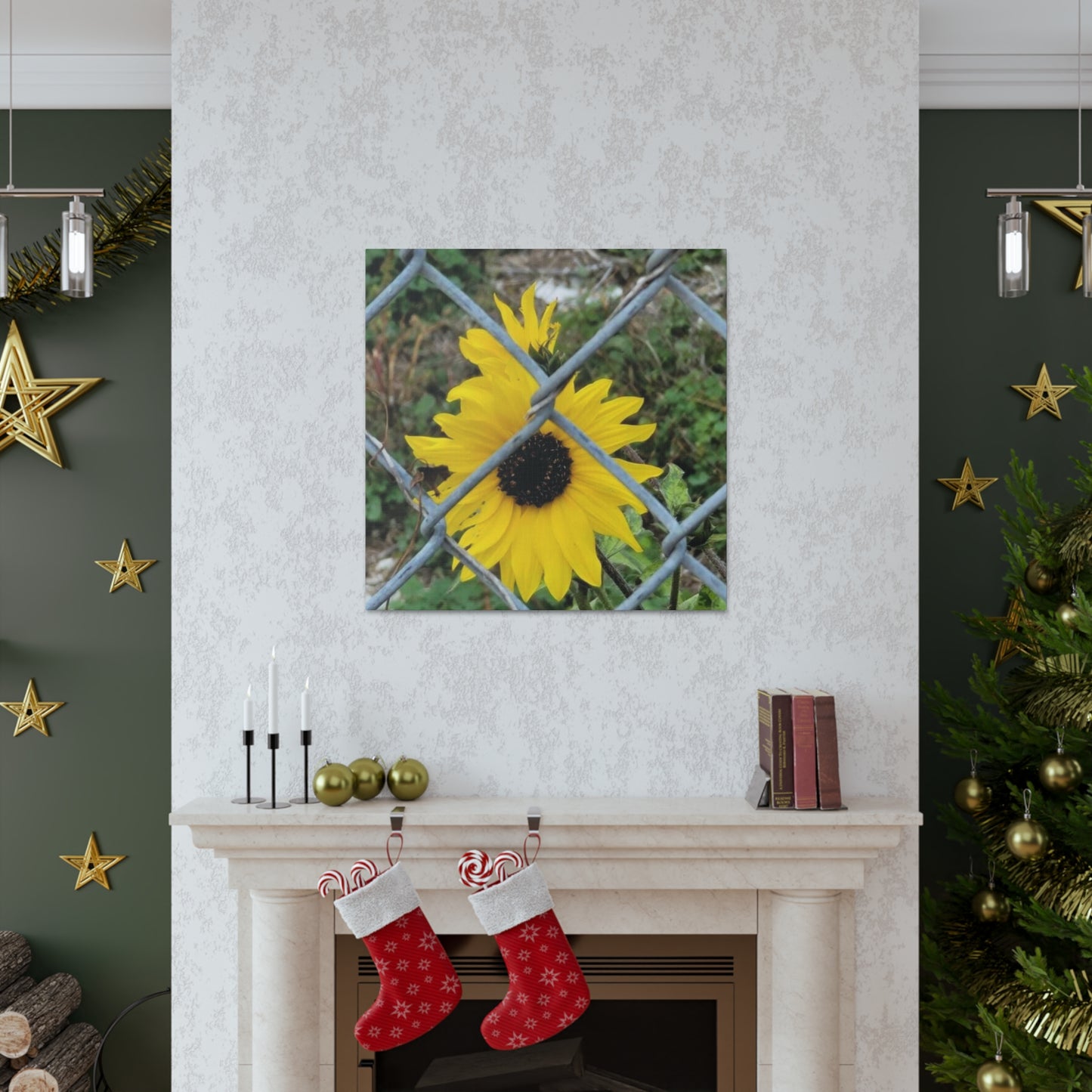 Sunflower Behind A Fence Canvas Gallery Wraps