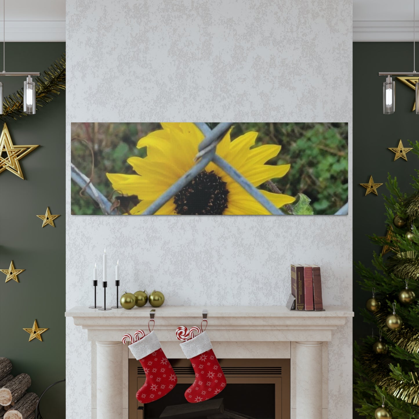 Sunflower Behind A Fence Canvas Gallery Wraps