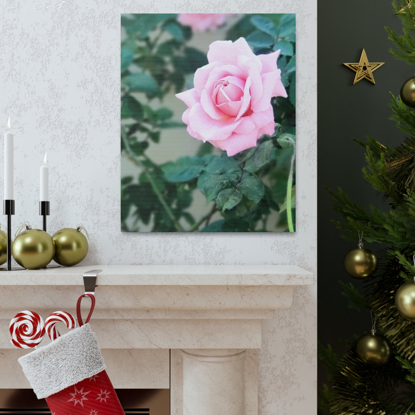Focus on a Pink Rose | High Bloom Collection | Wall Art Print | Life By Ortavia