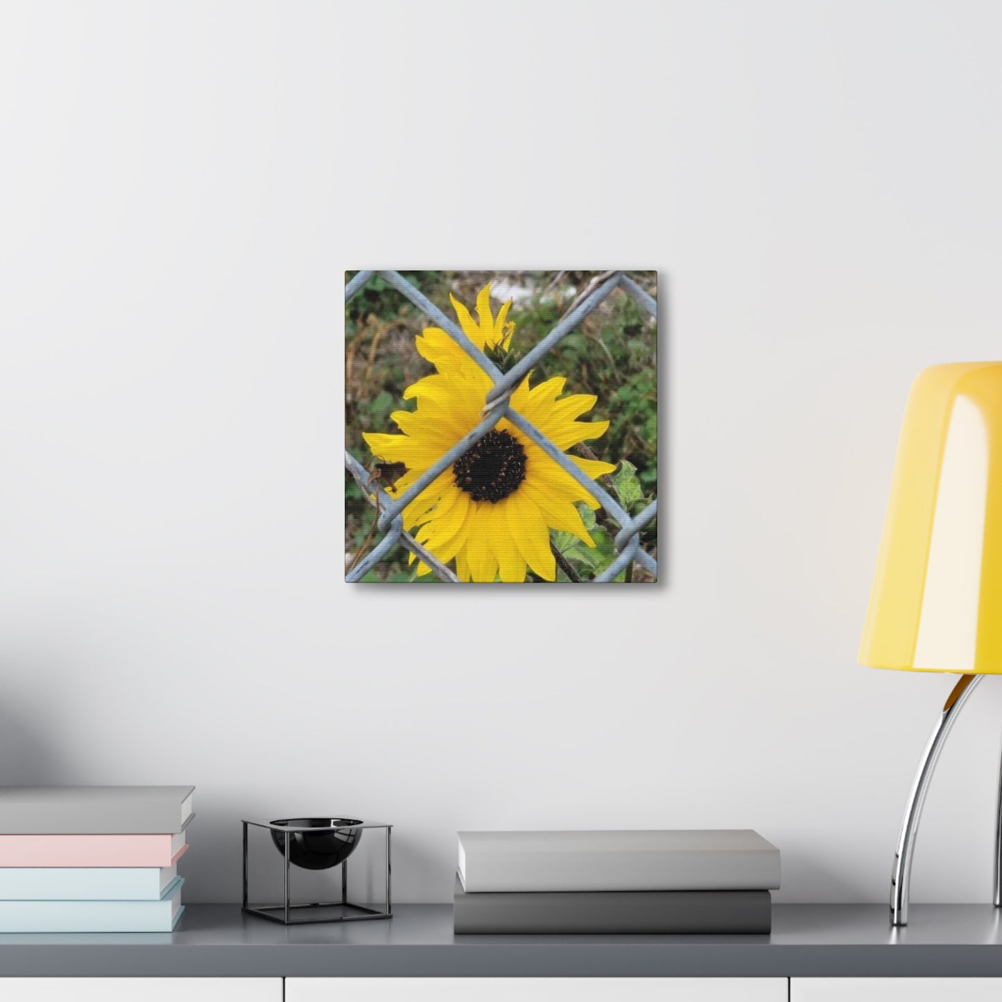 Sunflower Behind A Fence Canvas Gallery Wraps