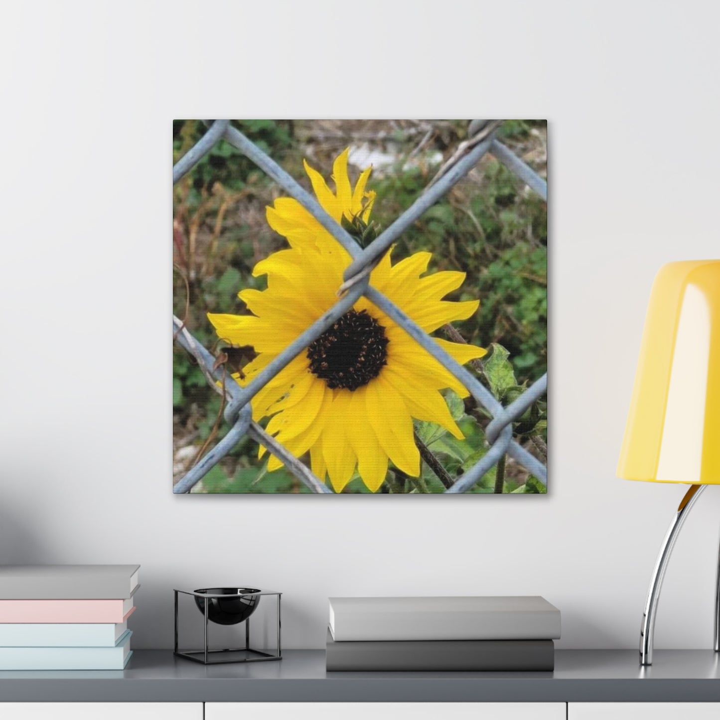 Sunflower Behind A Fence Canvas Gallery Wraps