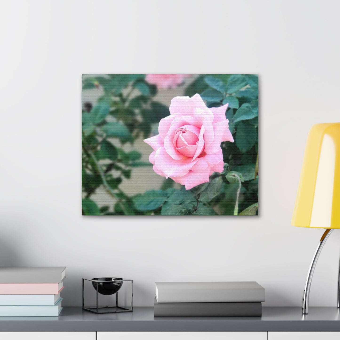 Focus on a Pink Rose | High Bloom Collection | Wall Art Print | Life By Ortavia