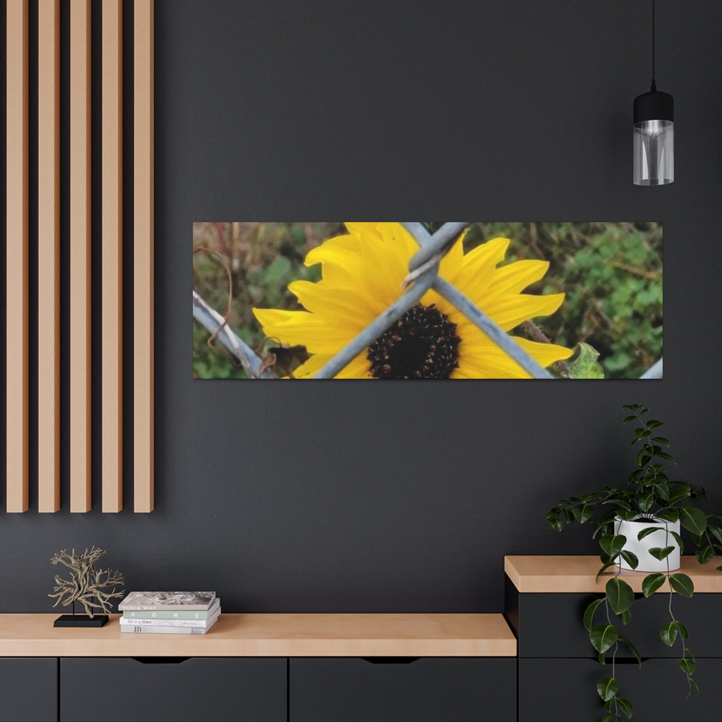 Sunflower Behind A Fence Canvas Gallery Wraps
