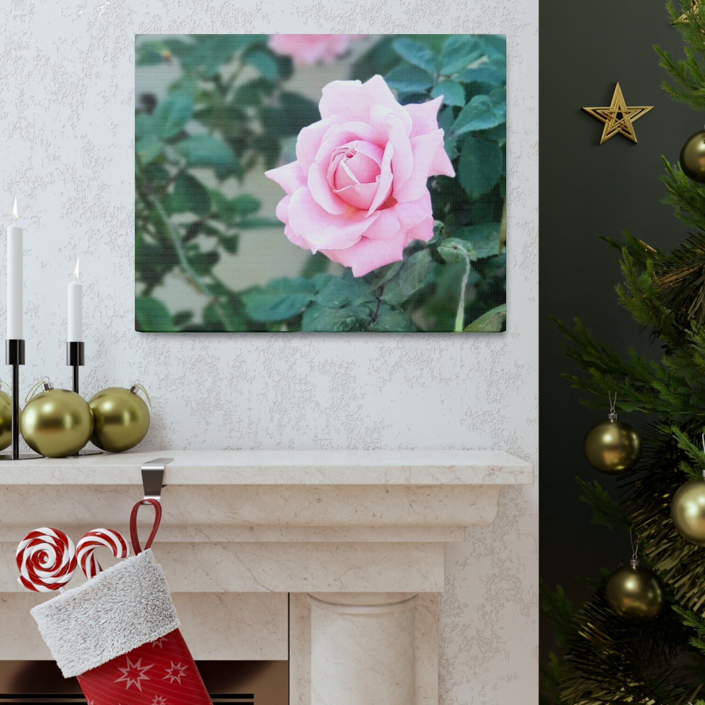 Focus on a Pink Rose | High Bloom Collection | Wall Art Print | Life By Ortavia