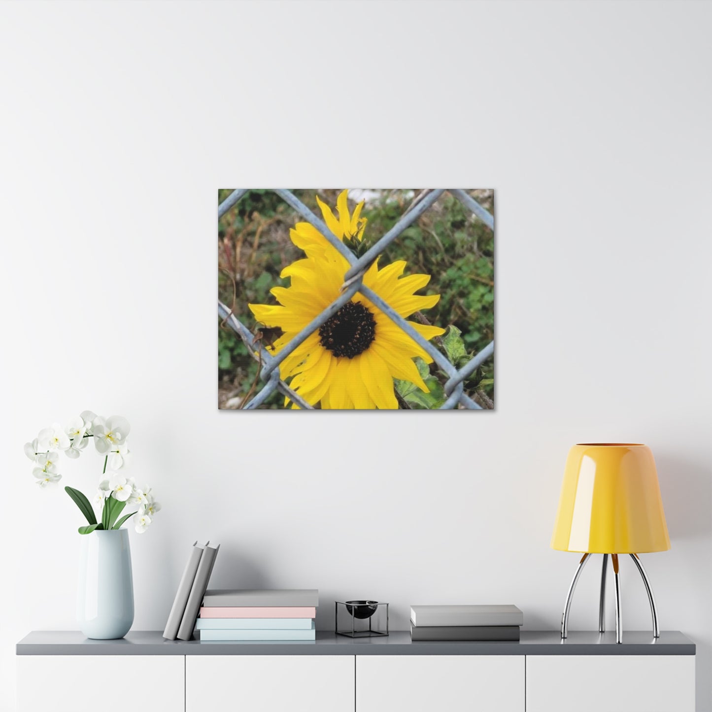 Sunflower Behind A Fence Canvas Gallery Wraps