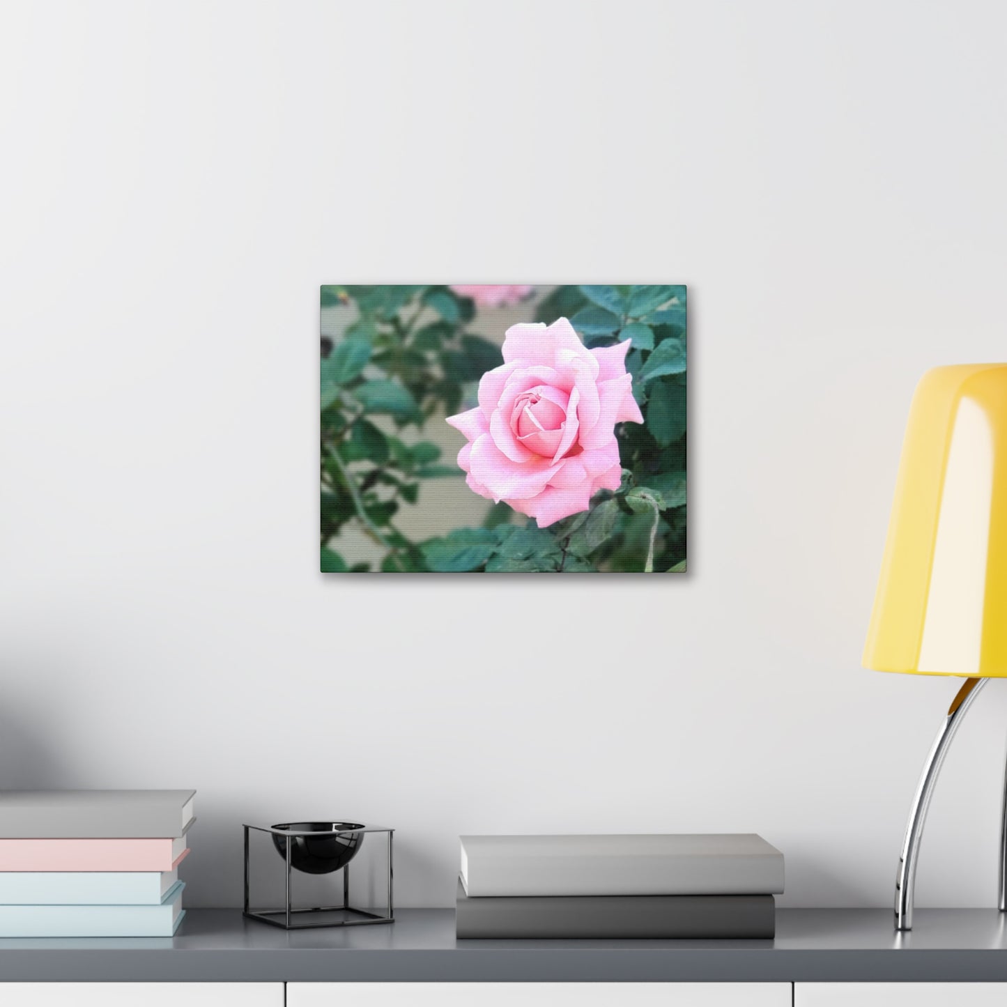 Focus on a Pink Rose | High Bloom Collection | Wall Art Print | Life By Ortavia