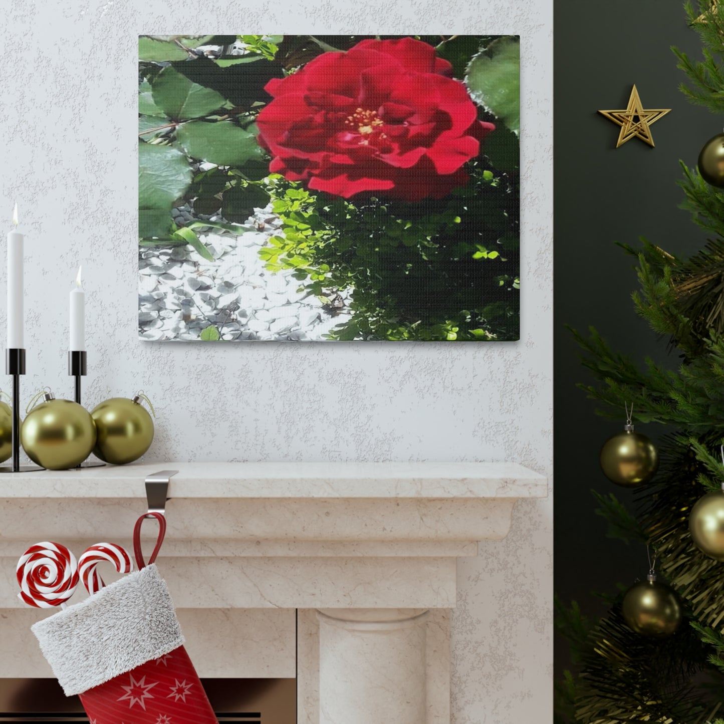 Europeana Red Rose | Wall Art Print | High Bloom Collection | Life By Ortavia