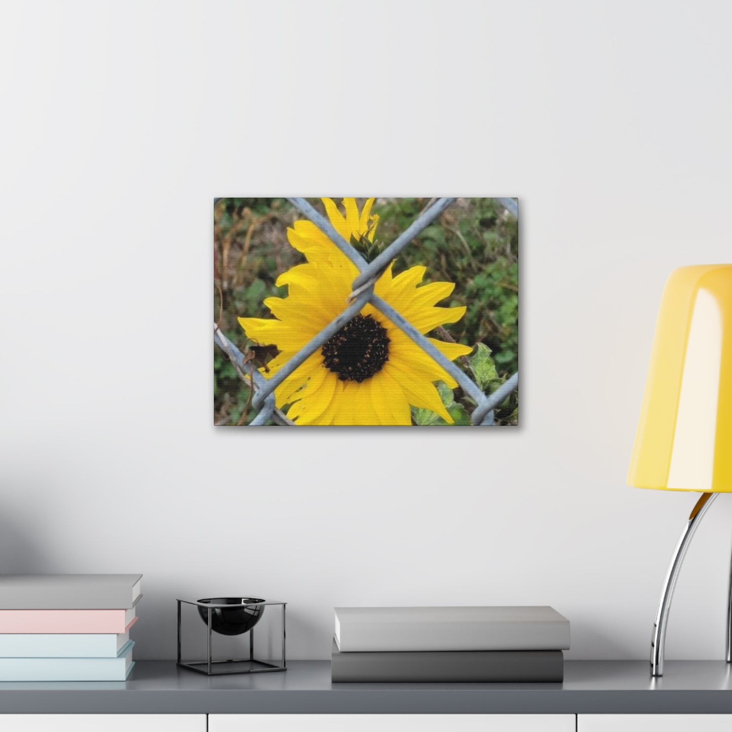 Sunflower Behind A Fence Canvas Gallery Wraps