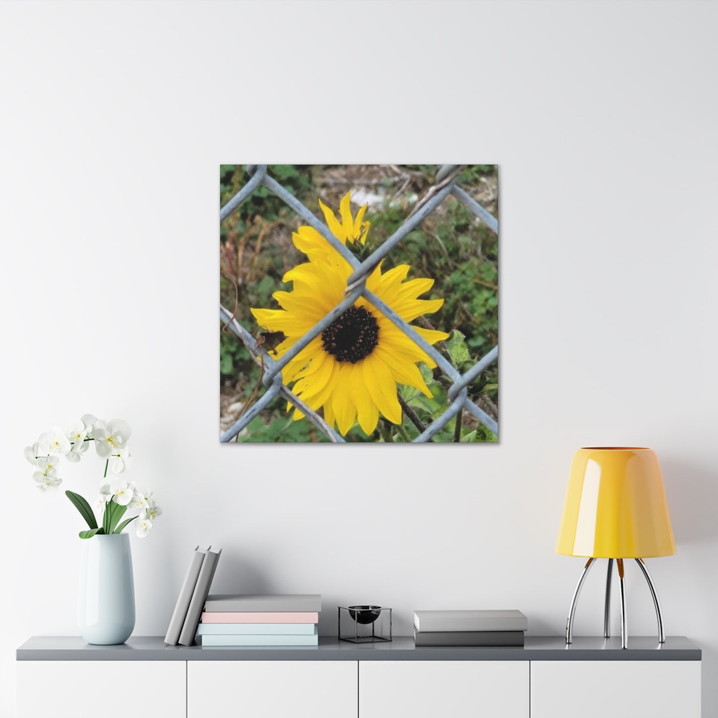 Sunflower Behind A Fence Canvas Gallery Wraps