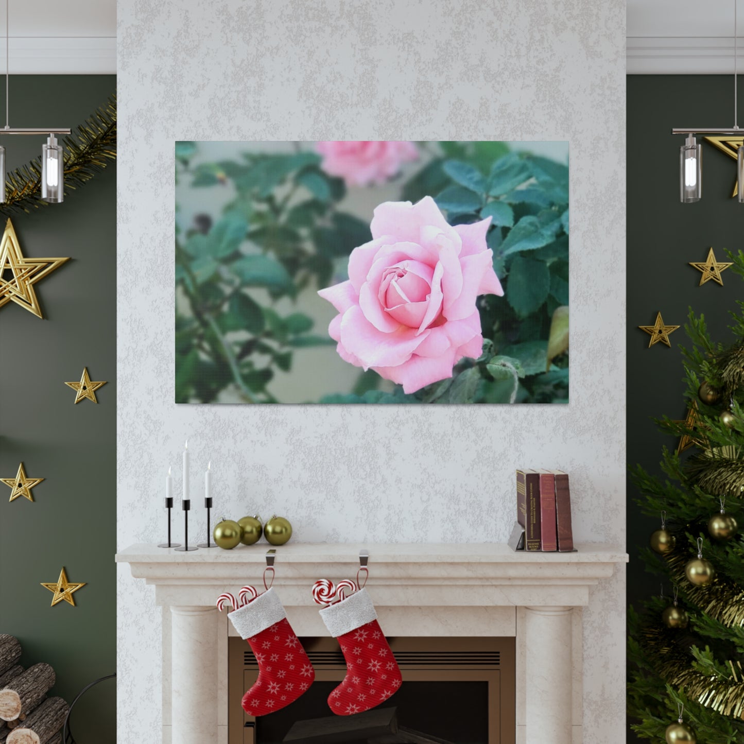 Focus on a Pink Rose | High Bloom Collection | Wall Art Print | Life By Ortavia