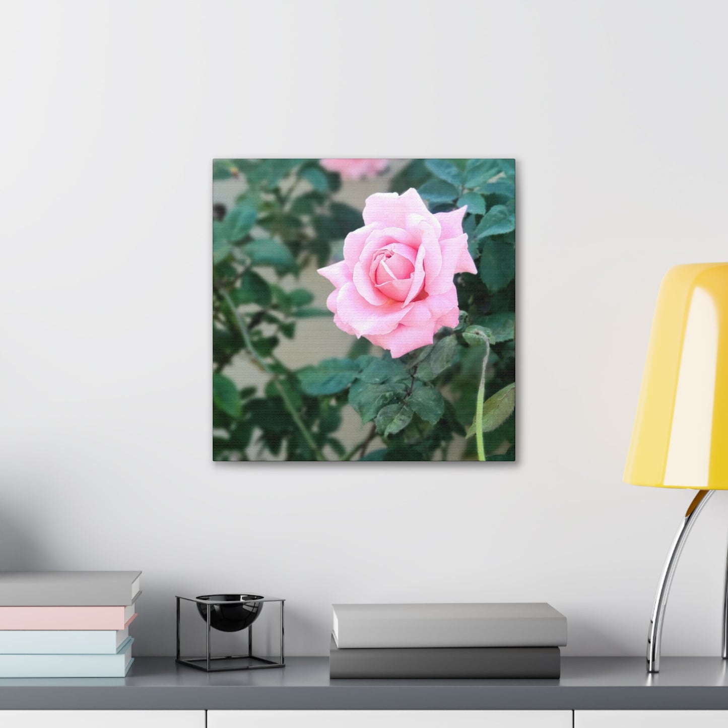 Focus on a Pink Rose | High Bloom Collection | Wall Art Print | Life By Ortavia