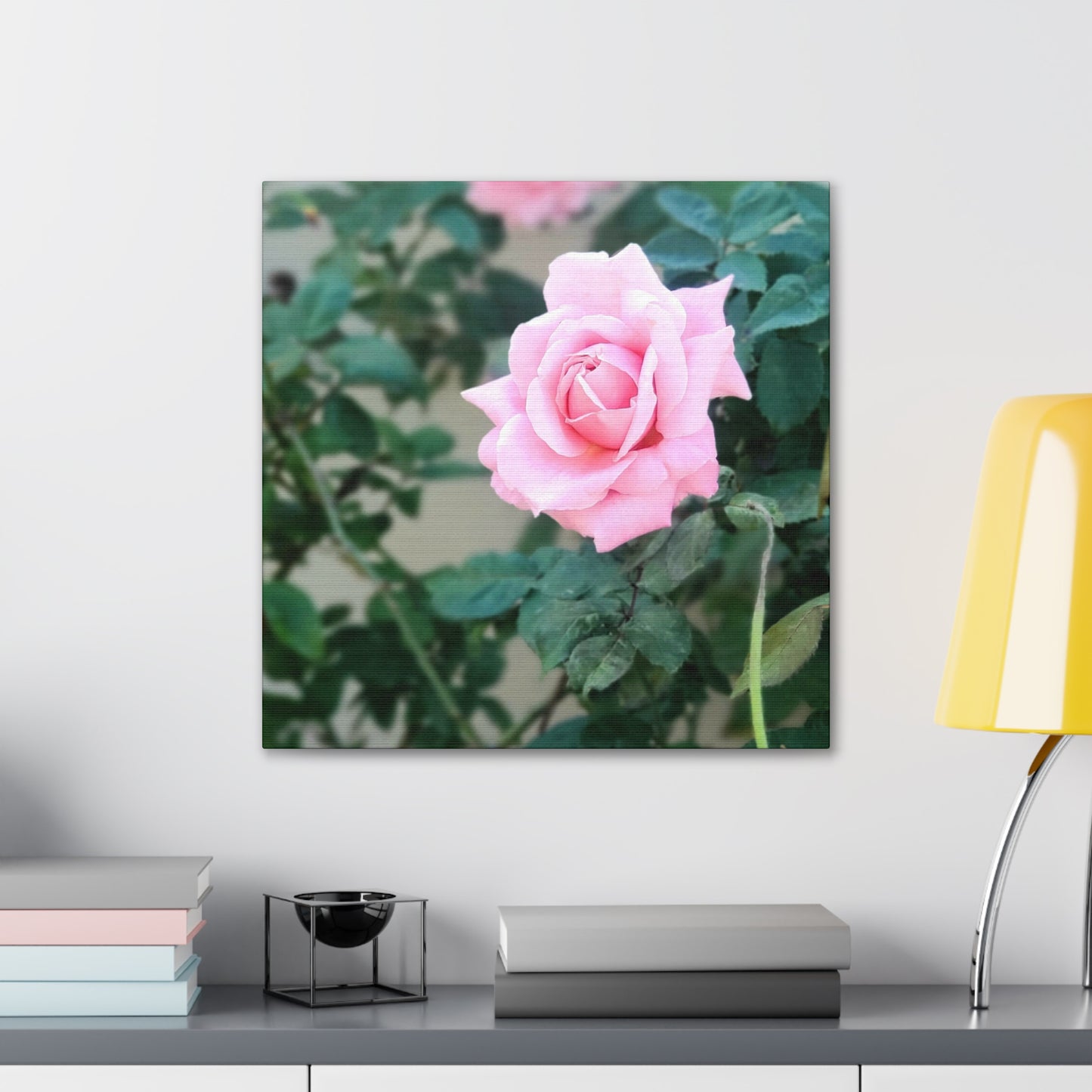 Focus on a Pink Rose | High Bloom Collection | Wall Art Print | Life By Ortavia