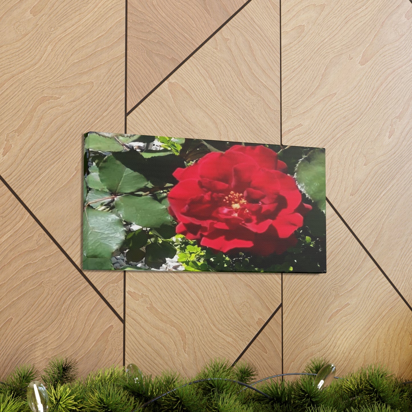 Europeana Red Rose | Wall Art Print | High Bloom Collection | Life By Ortavia