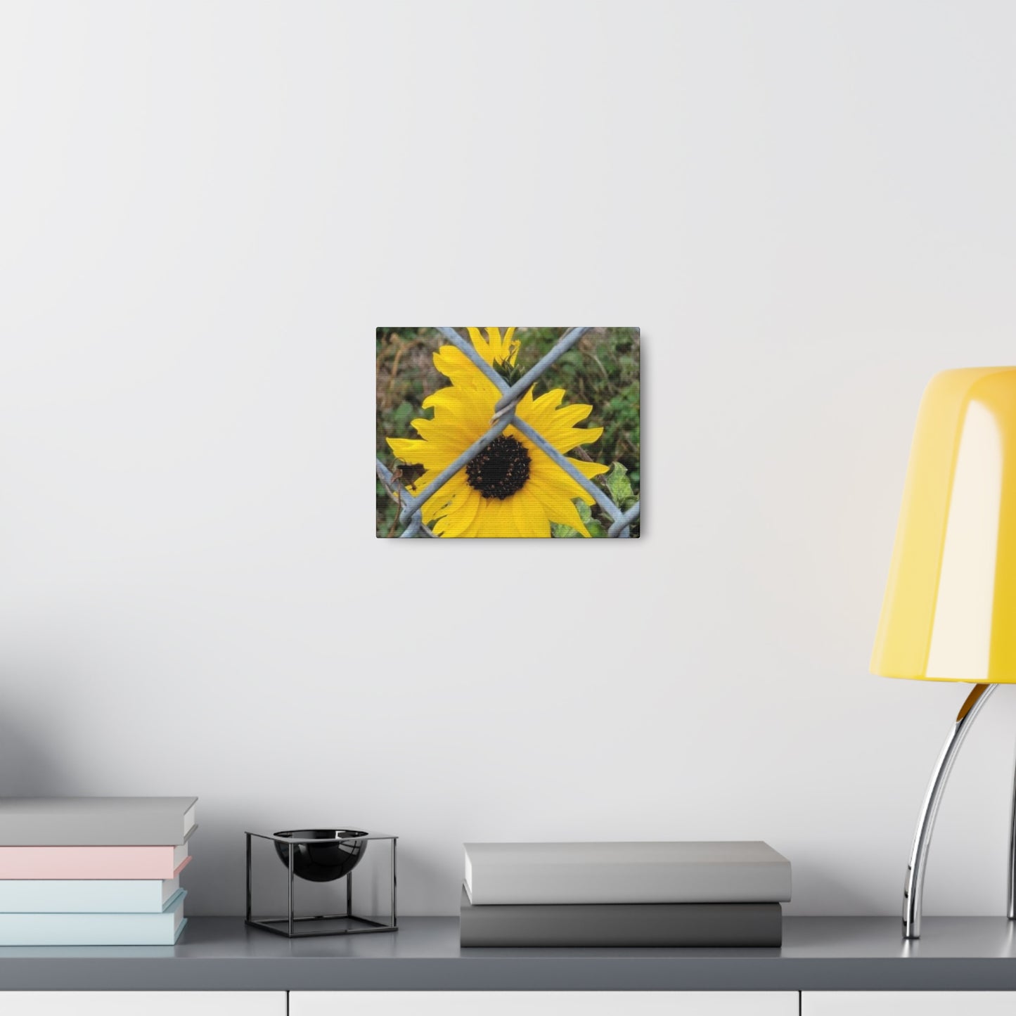Sunflower Behind A Fence Canvas Gallery Wraps