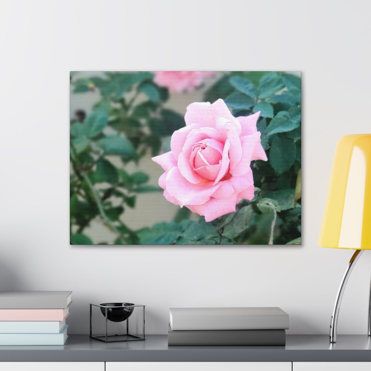 Focus on a Pink Rose | High Bloom Collection | Wall Art Print | Life By Ortavia