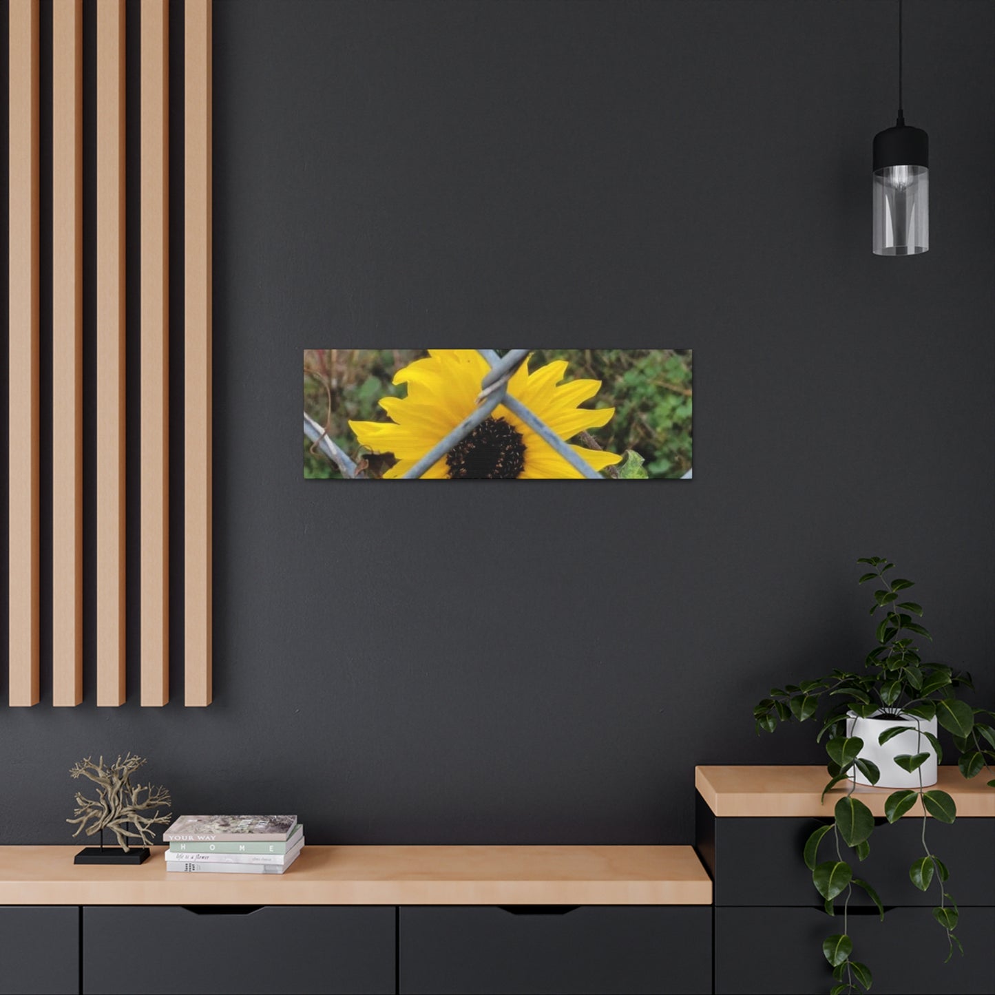 Sunflower Behind A Fence Canvas Gallery Wraps