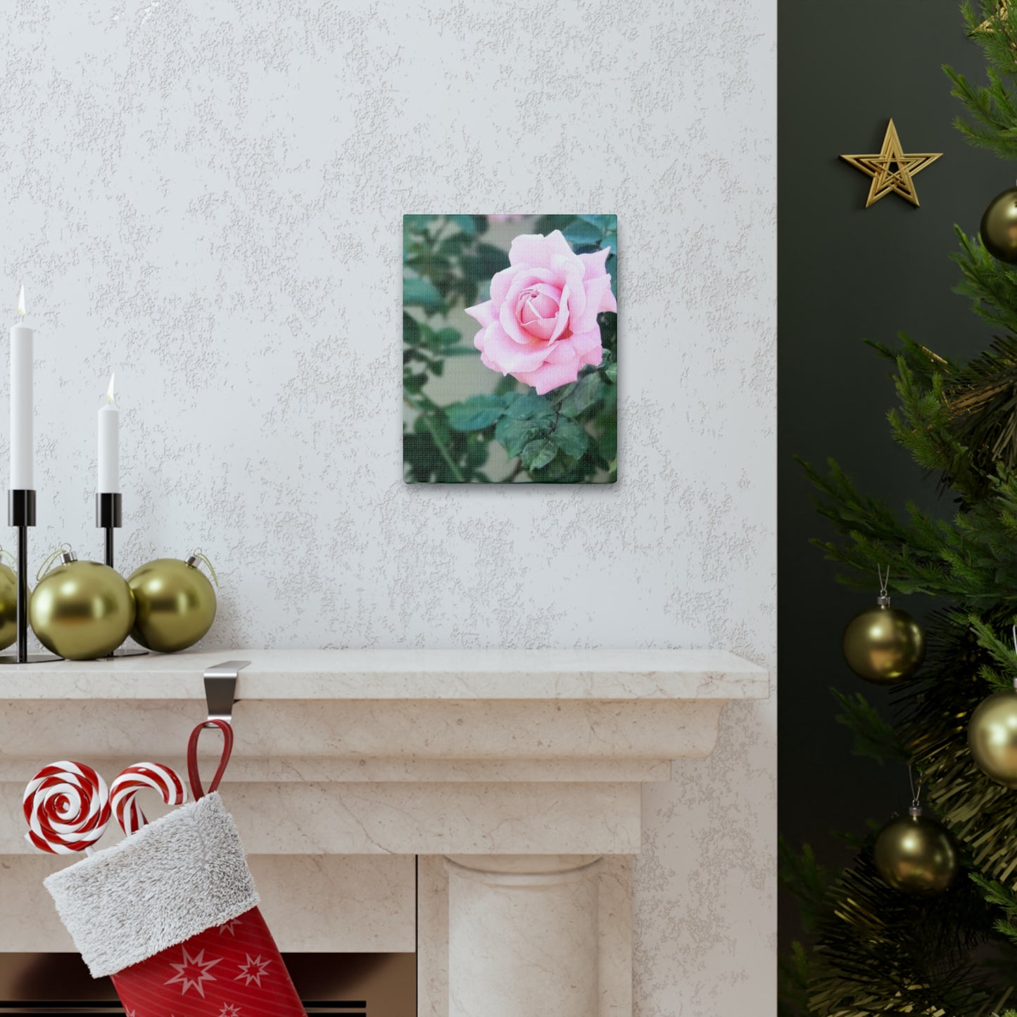 Focus on a Pink Rose | High Bloom Collection | Wall Art Print | Life By Ortavia