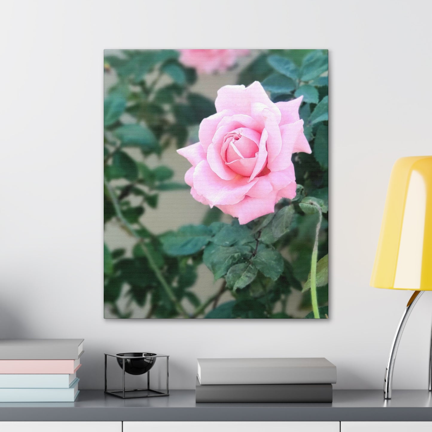 Focus on a Pink Rose | High Bloom Collection | Wall Art Print | Life By Ortavia