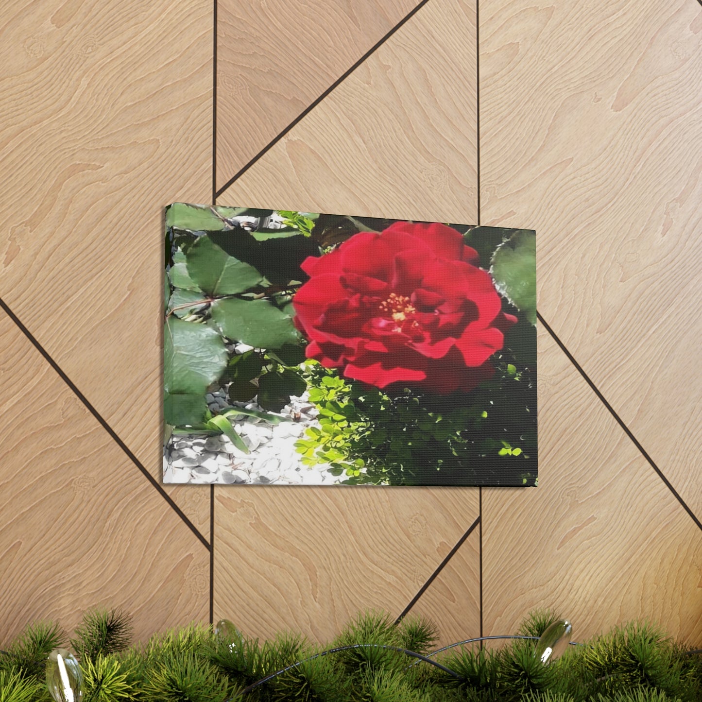 Europeana Red Rose | Wall Art Print | High Bloom Collection | Life By Ortavia