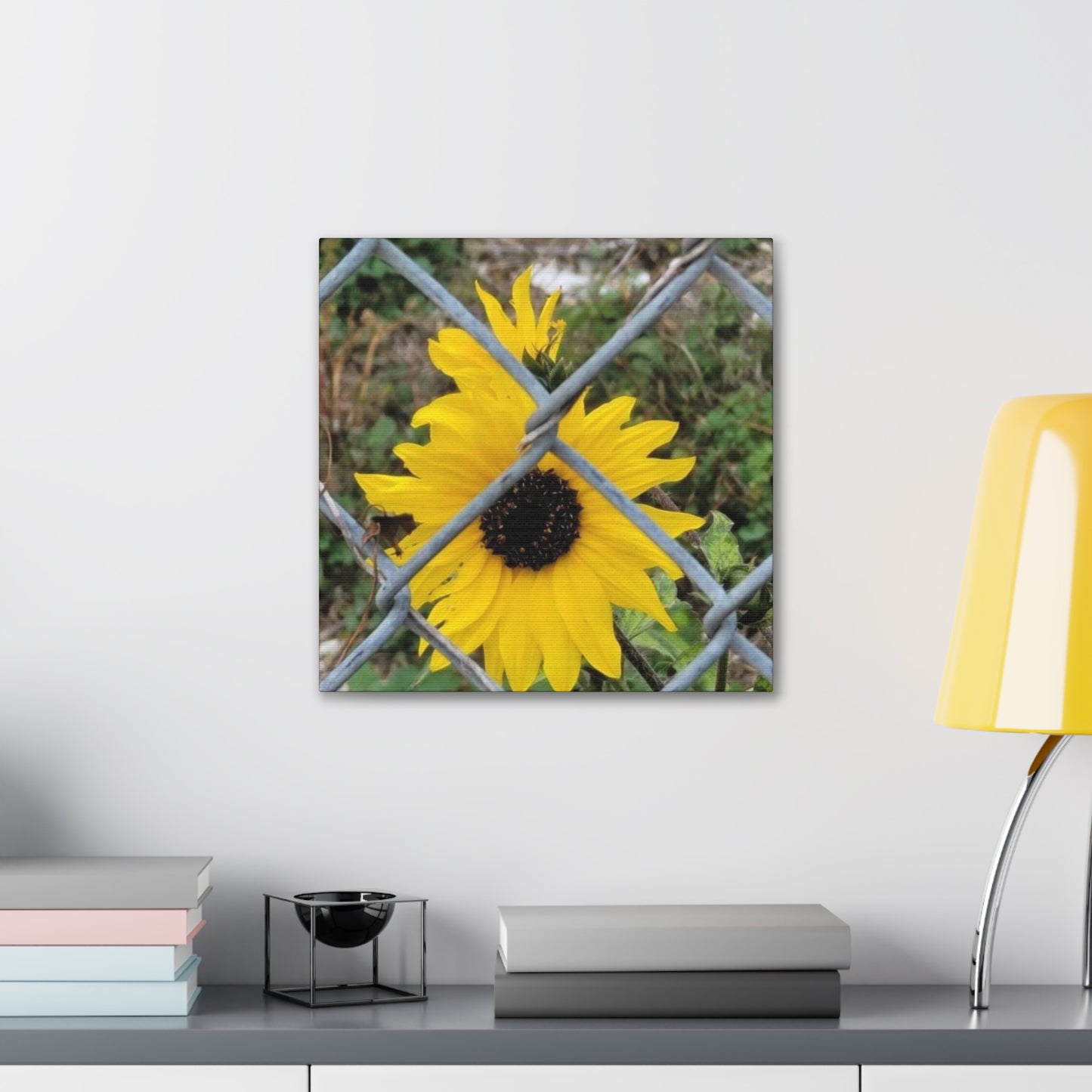 Sunflower Behind A Fence Canvas Gallery Wraps
