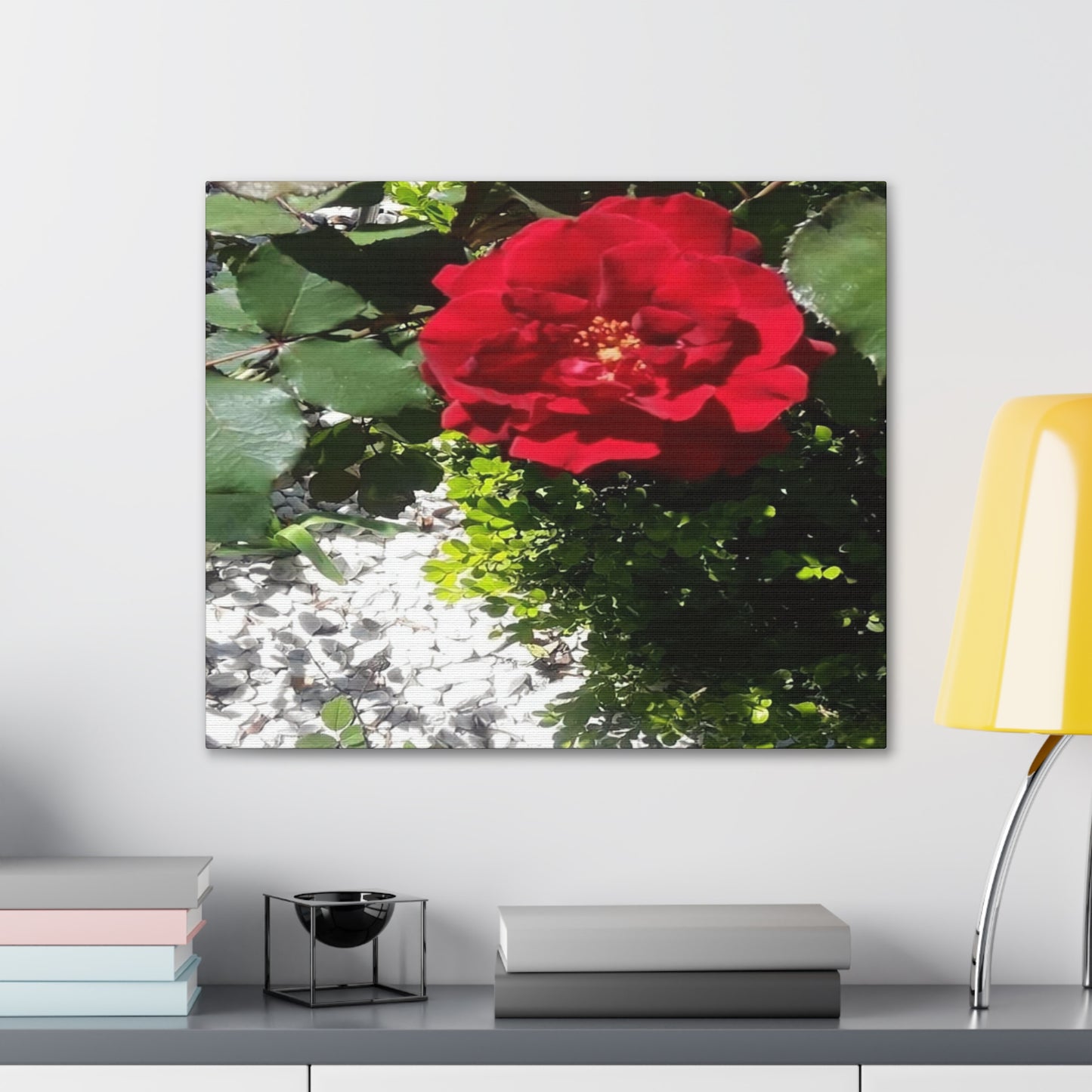 Europeana Red Rose | Wall Art Print | High Bloom Collection | Life By Ortavia