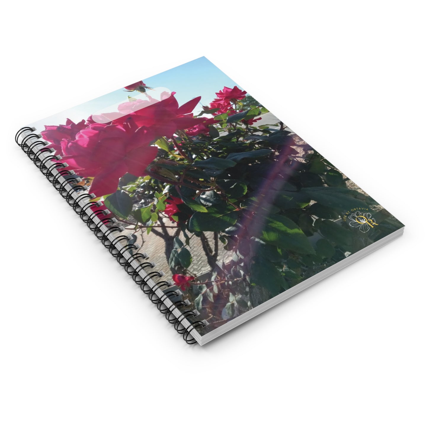Roses in Sunlight | Spiral Notebook 118 pg Ruled