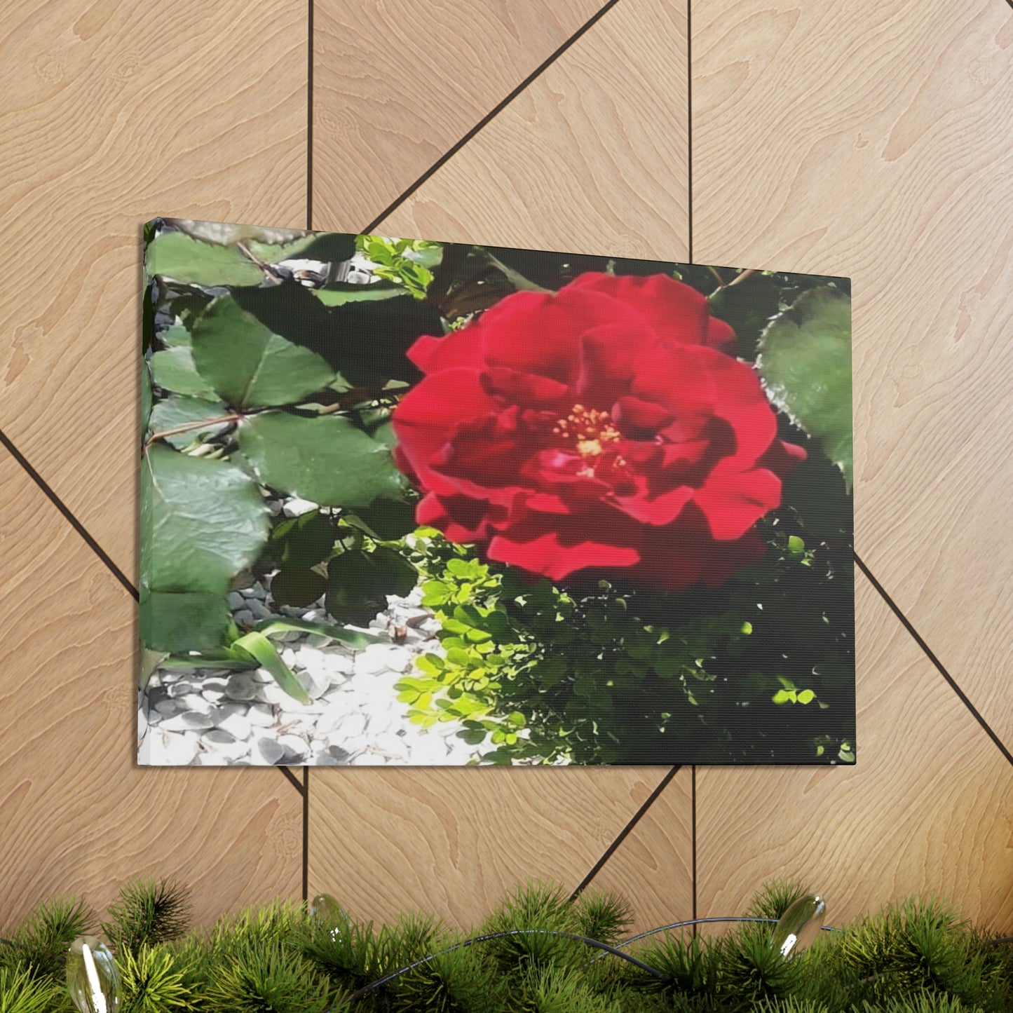 Europeana Red Rose | Wall Art Print | High Bloom Collection | Life By Ortavia