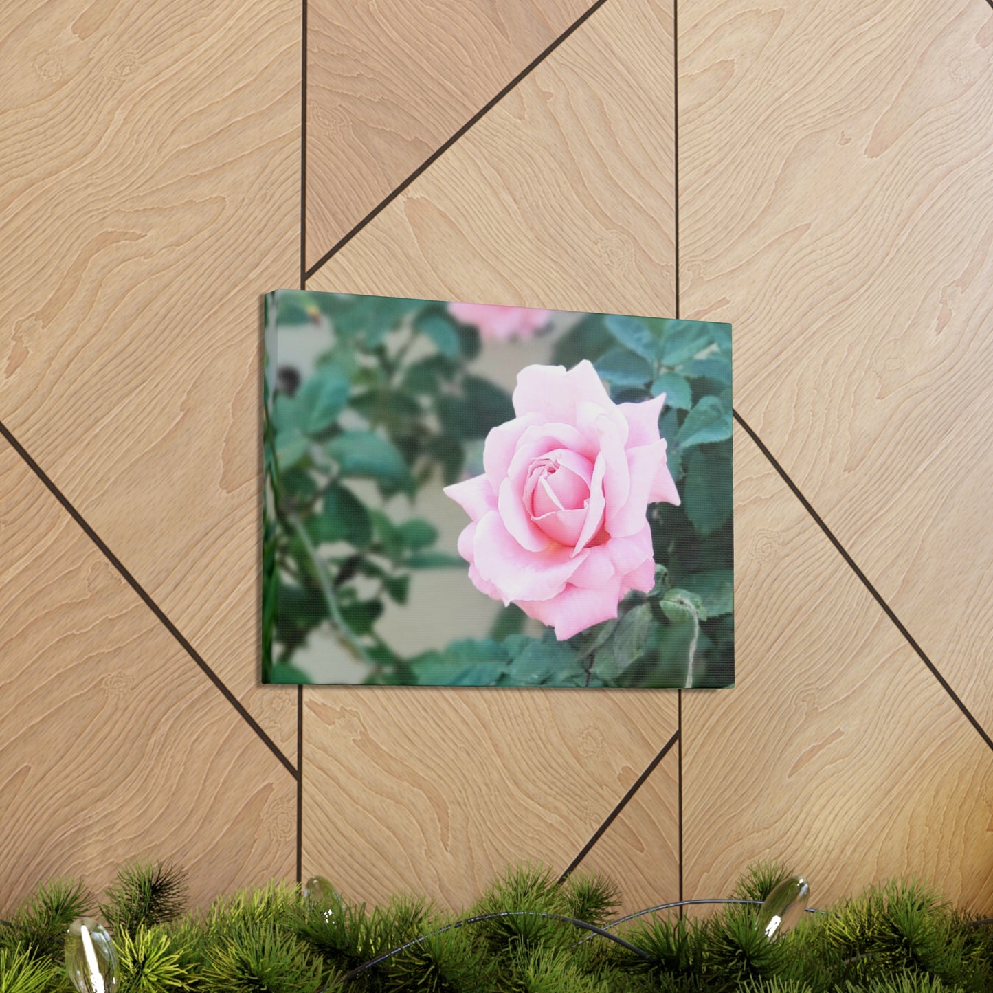 Focus on a Pink Rose | High Bloom Collection | Wall Art Print | Life By Ortavia