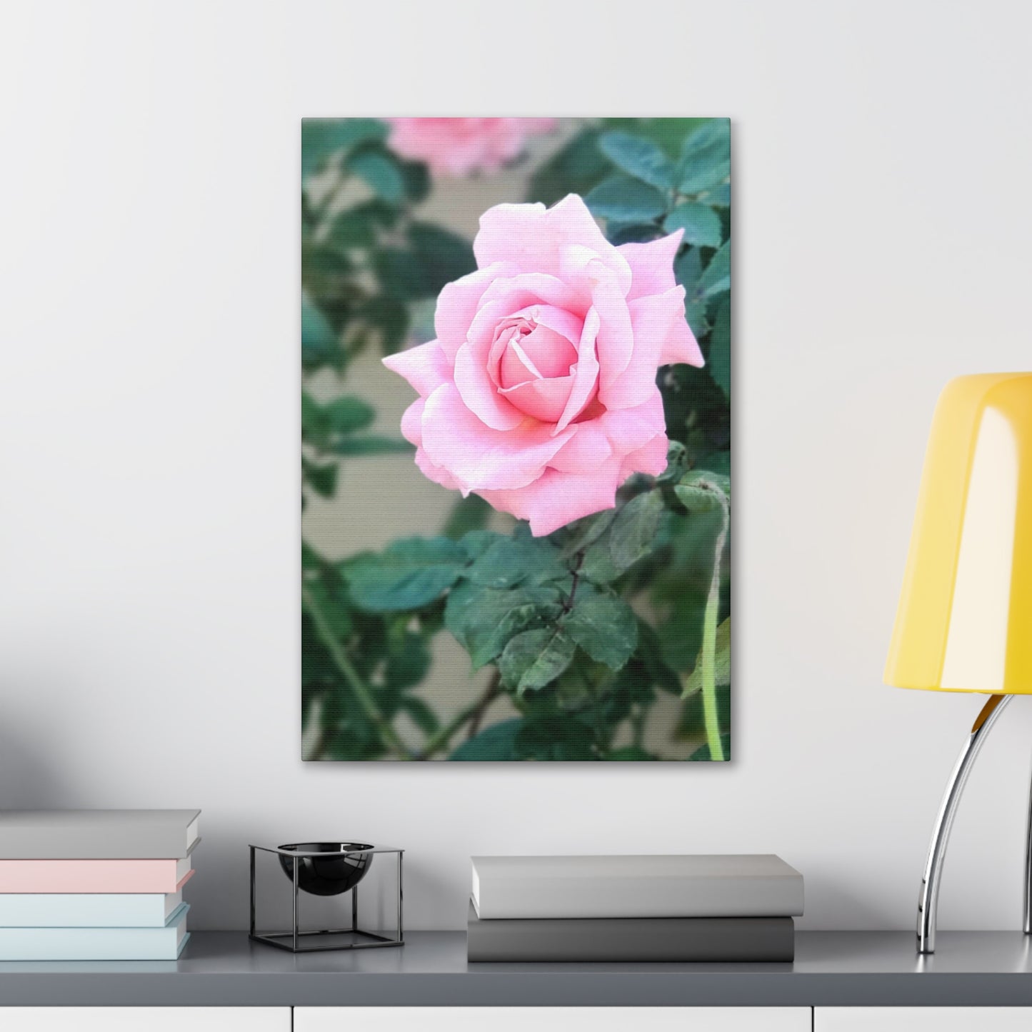 Focus on a Pink Rose | High Bloom Collection | Wall Art Print | Life By Ortavia