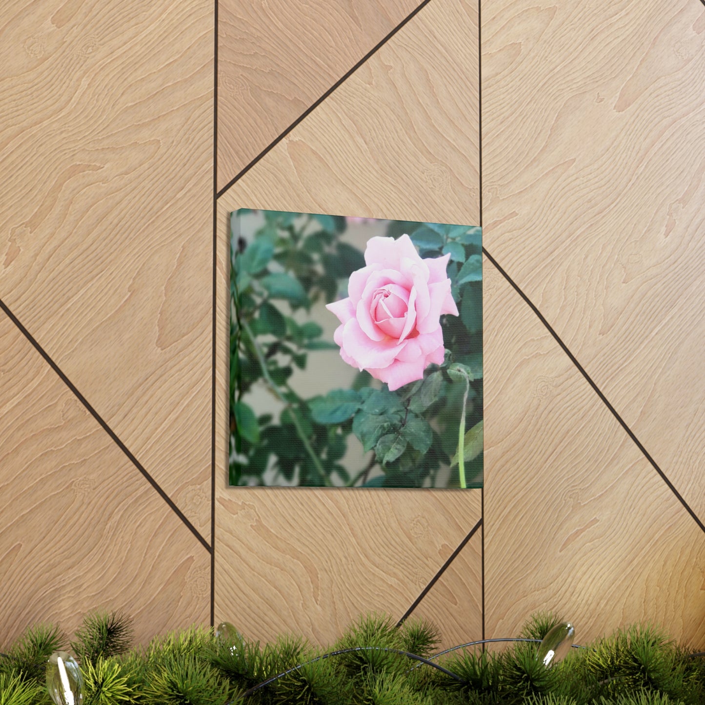 Focus on a Pink Rose | High Bloom Collection | Wall Art Print | Life By Ortavia