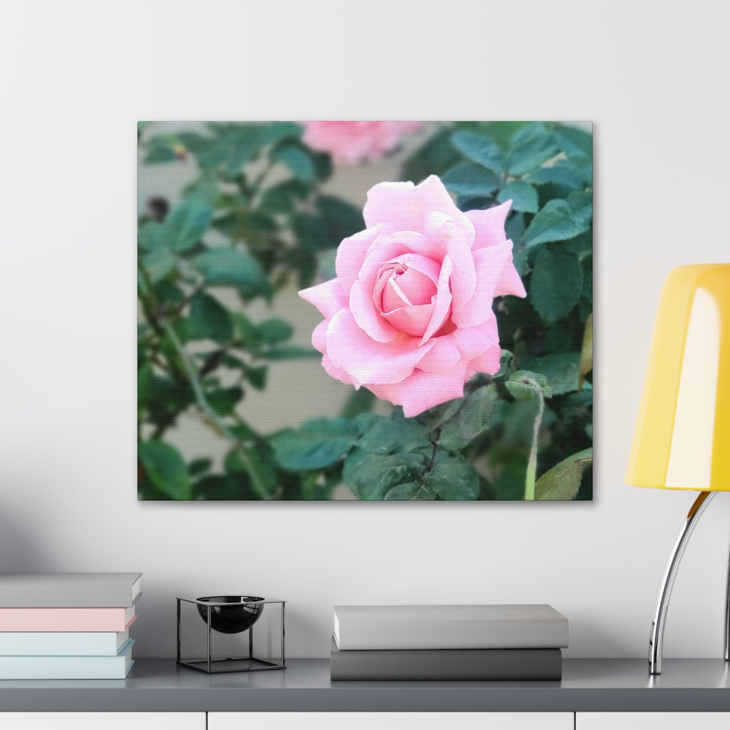 Focus on a Pink Rose | High Bloom Collection | Wall Art Print | Life By Ortavia