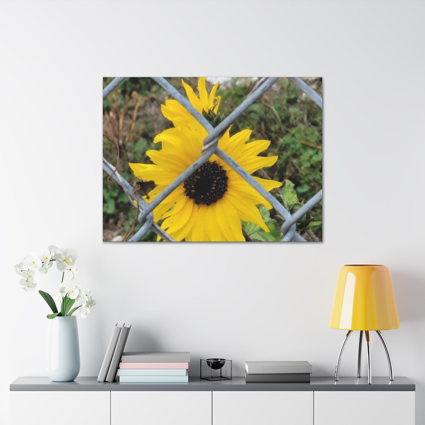 Sunflower Behind A Fence Canvas Gallery Wraps