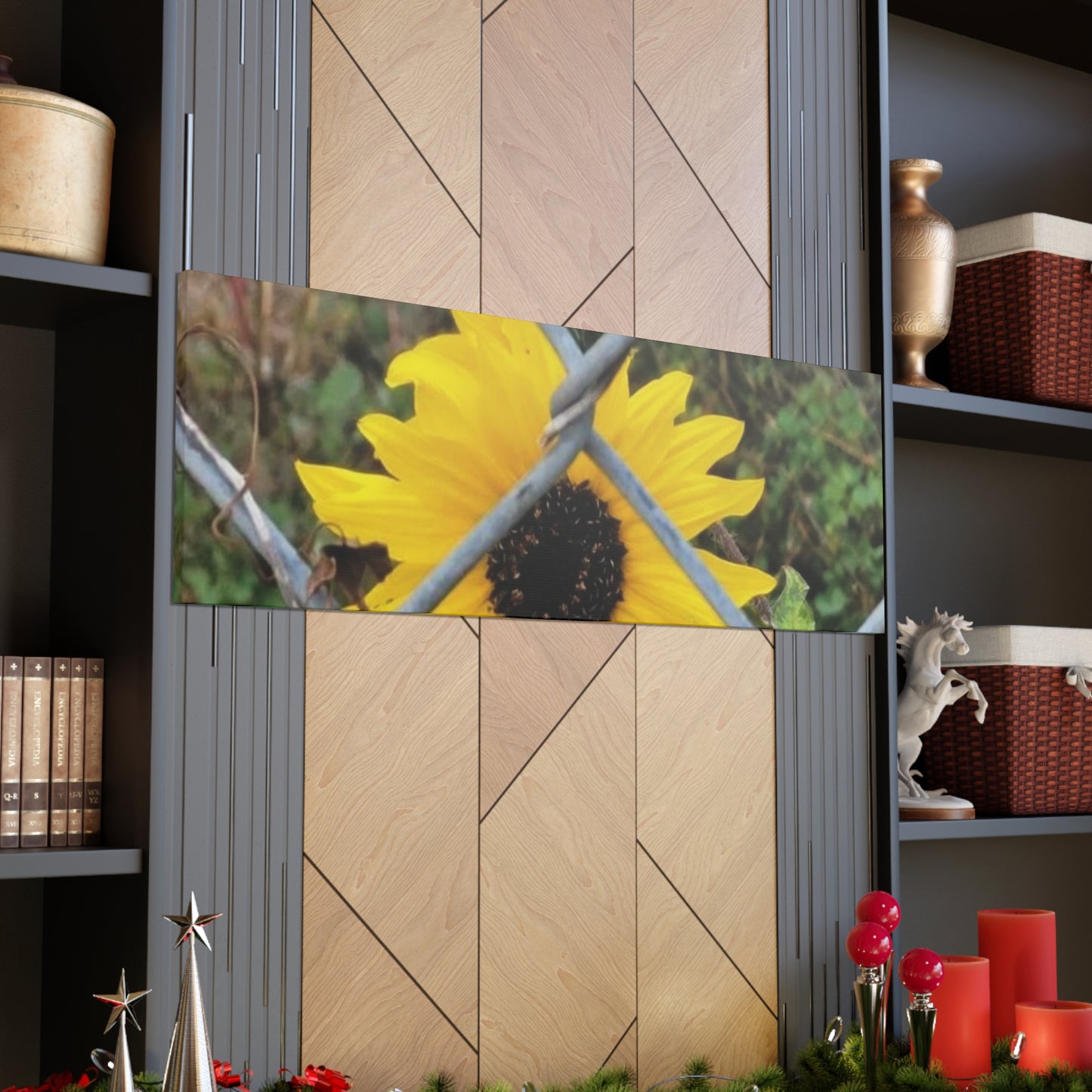 Sunflower Behind A Fence Canvas Gallery Wraps