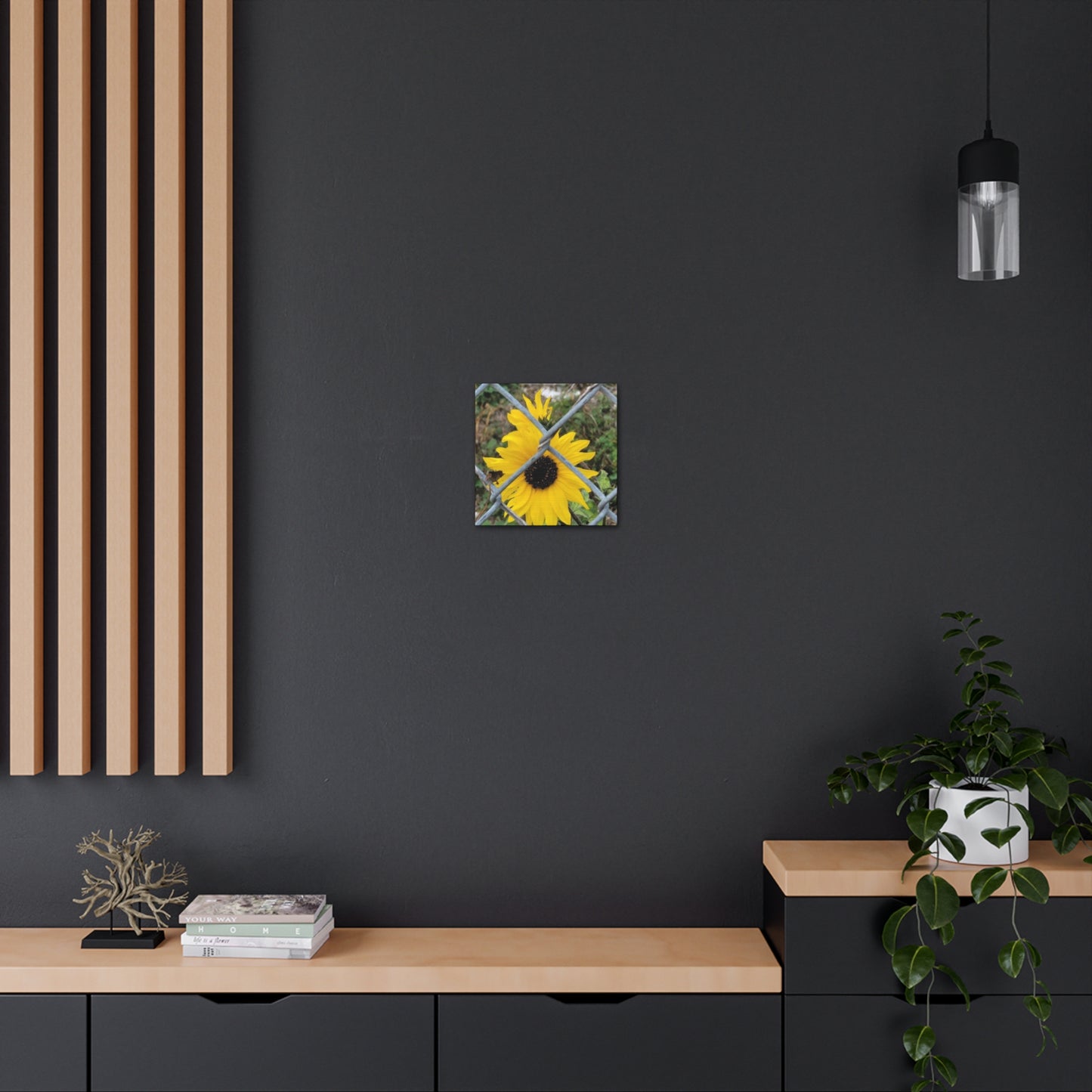 Sunflower Behind A Fence Canvas Gallery Wraps