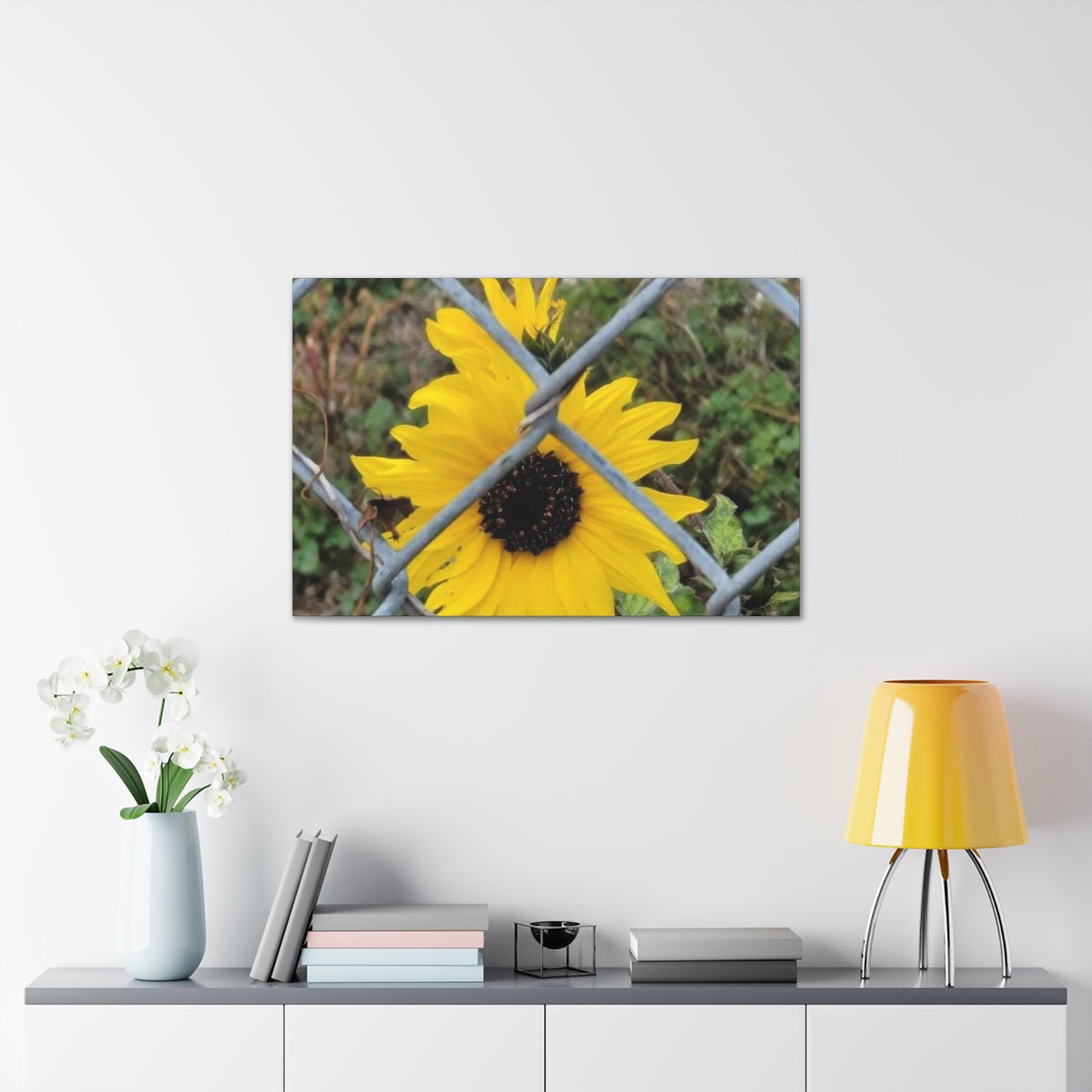 Sunflower Behind A Fence Canvas Gallery Wraps