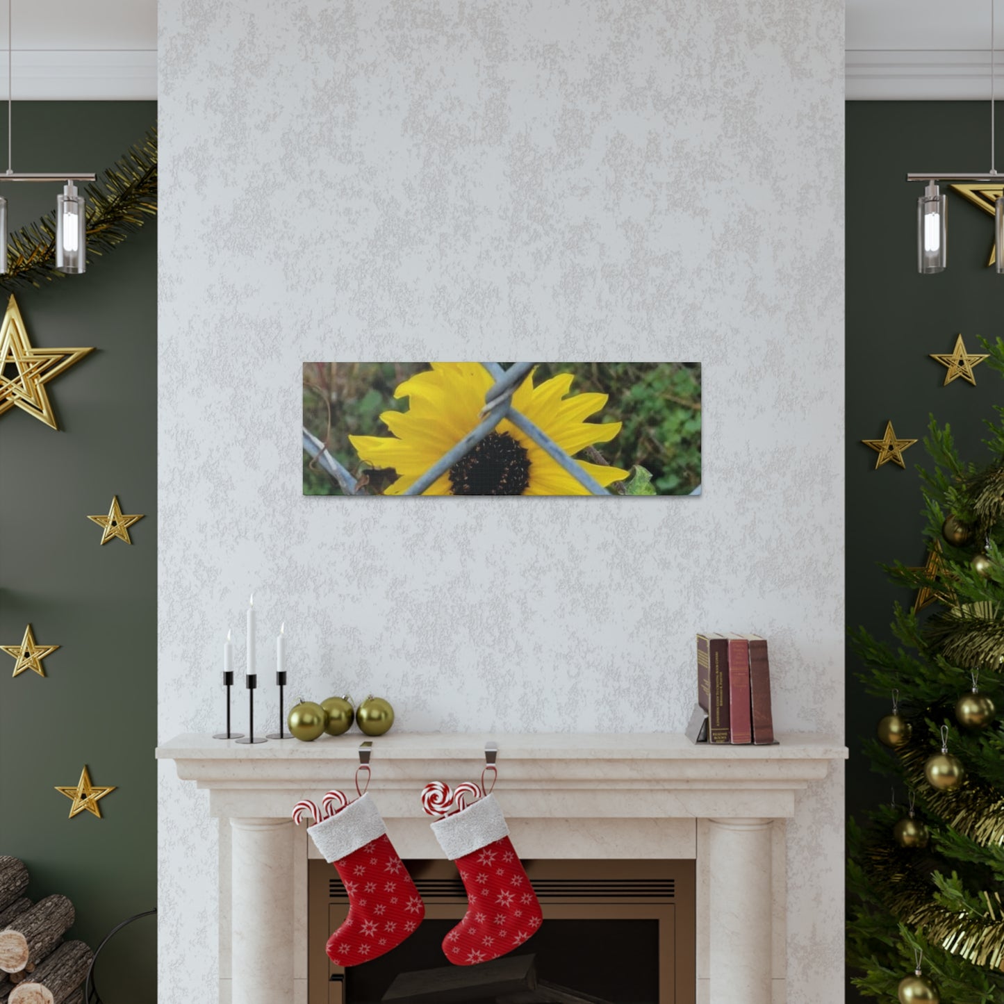 Sunflower Behind A Fence Canvas Gallery Wraps
