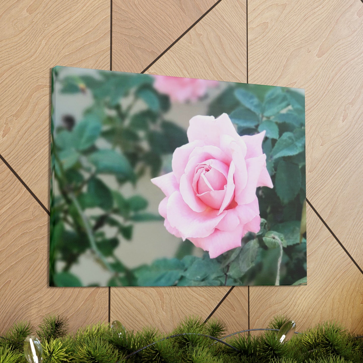 Focus on a Pink Rose | High Bloom Collection | Wall Art Print | Life By Ortavia