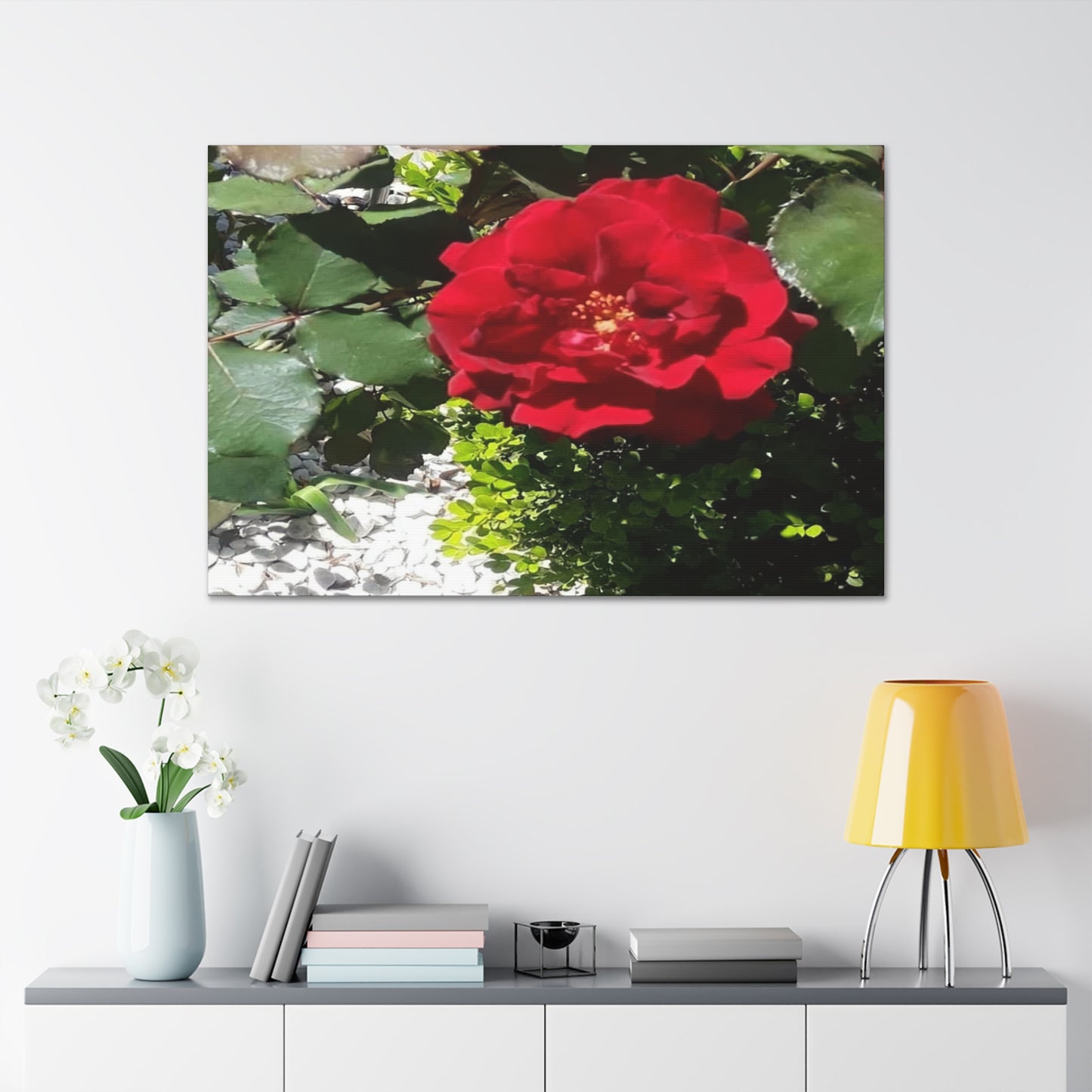 Europeana Red Rose | Wall Art Print | High Bloom Collection | Life By Ortavia