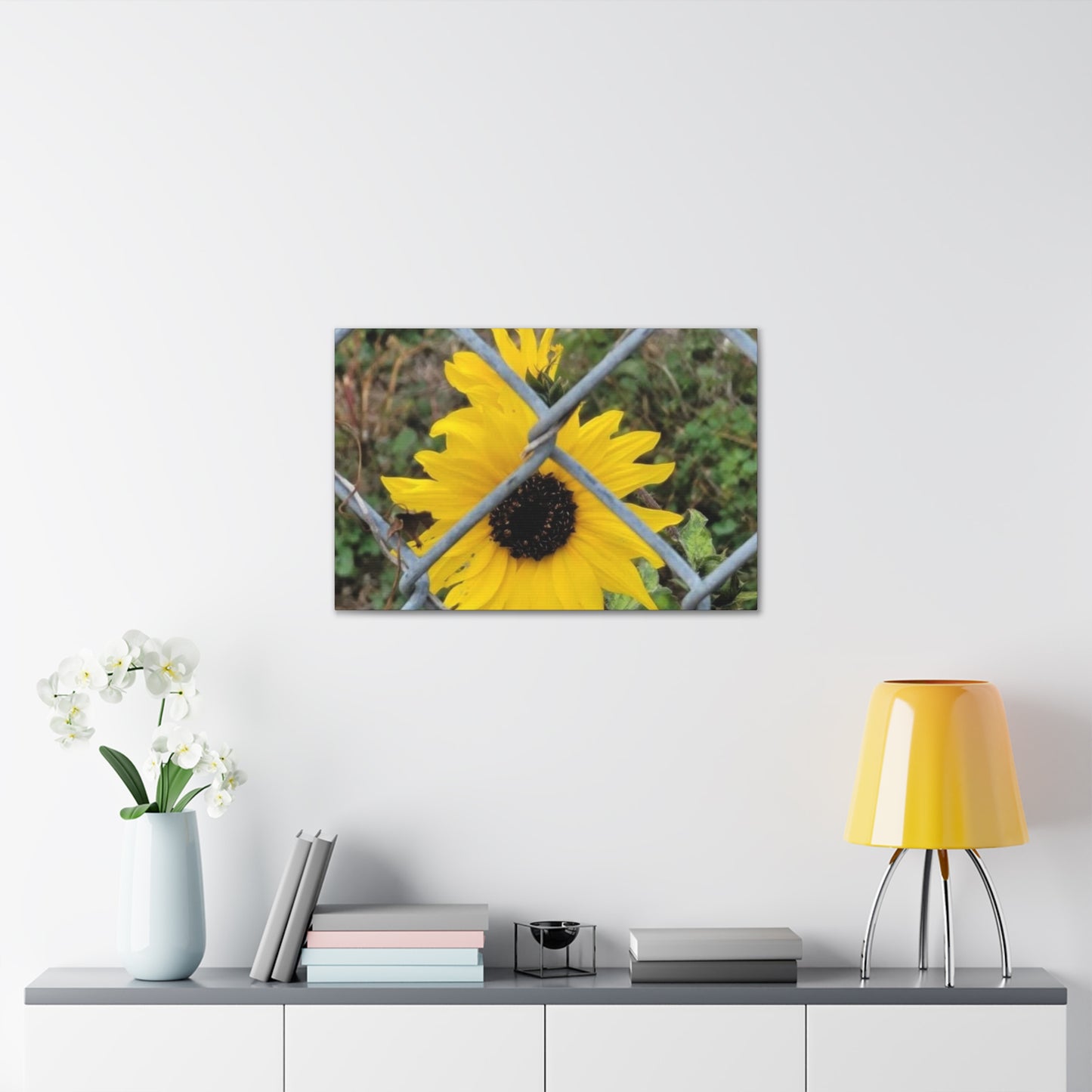 Sunflower Behind A Fence Canvas Gallery Wraps